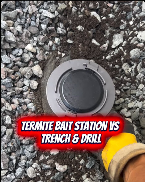 Bait Stations