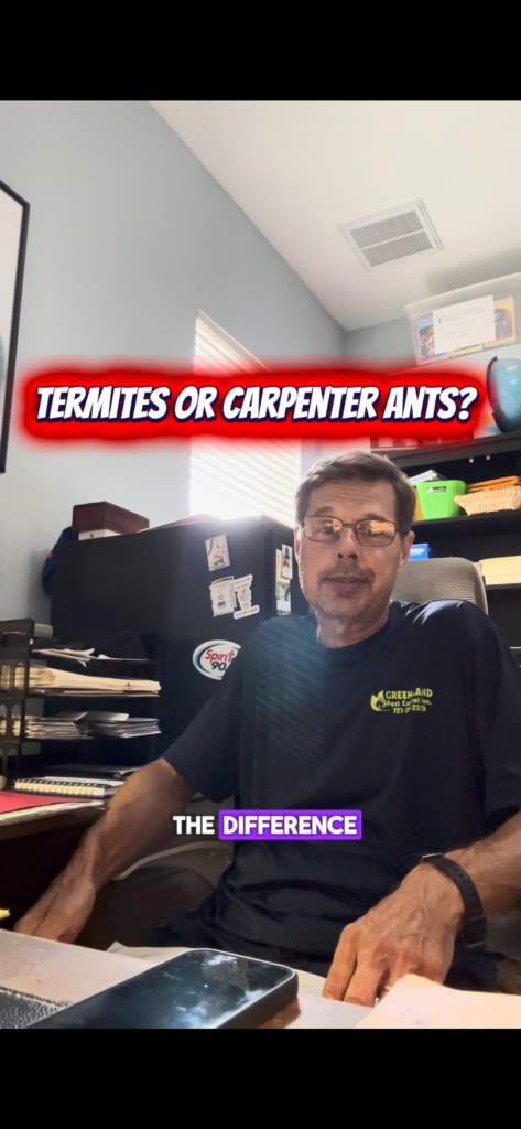 A man in an office chair with a title termites or carpinter ants?