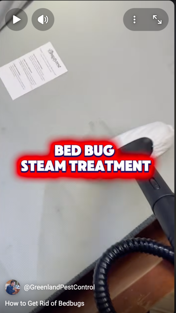 Bed bug steam treatment text a steamer attatchment on a mattress