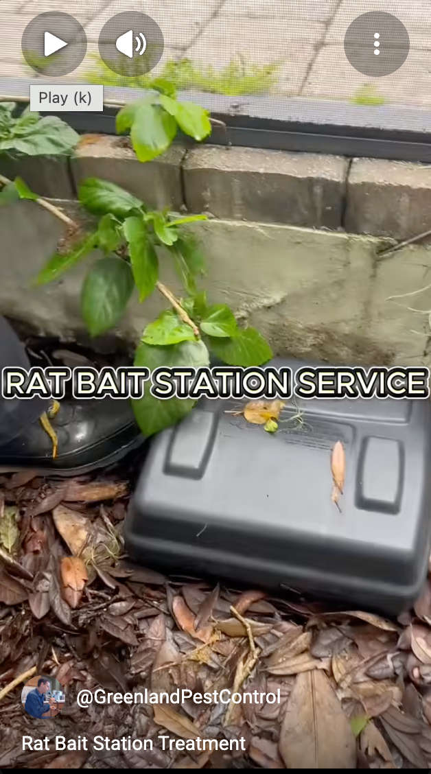 Outdoor rat bait station placed near a brick planter with green leaves and fallen leaves around, overlaid with 'RAT BAIT STATION SERVICE' text.